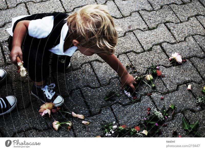 flower child Masculine Child Toddler Boy (child) 1 Human being 1 - 3 years Footwear Blonde Short-haired Crouch Flower Paving stone Wedding anniversary