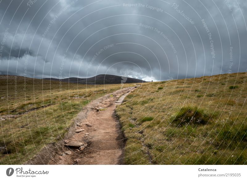 Paths walk in the high moor in rainy weather Mountain Hiking Androgynous 1 Human being Storm clouds Summer Bad weather Grass Highlands Scotland Lanes & trails