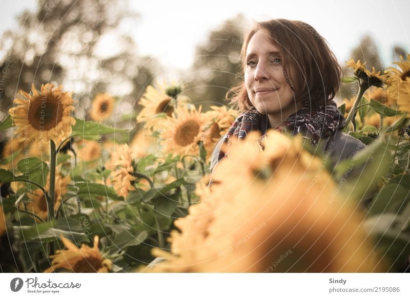 Sunflower1 Human being Feminine Young woman Youth (Young adults) Woman Adults Head 18 - 30 years 30 - 45 years Nature Plant Autumn Beautiful weather Leaf