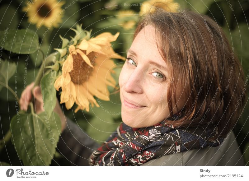 Sunflower4 Human being Feminine Young woman Youth (Young adults) Woman Adults Head 1 18 - 30 years 30 - 45 years Plant Leaf Blossom Sunflower field Garden Field