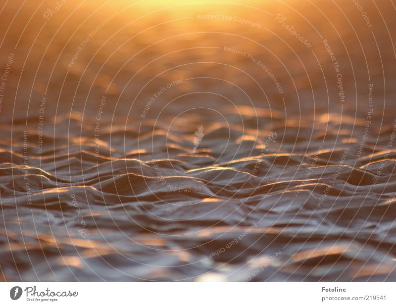 Waiting for the wave Environment Nature Landscape Elements Earth Sand Coast Beach Baltic Sea Bright Natural Warmth Brown Gold Sandy beach Sunrise sand waves