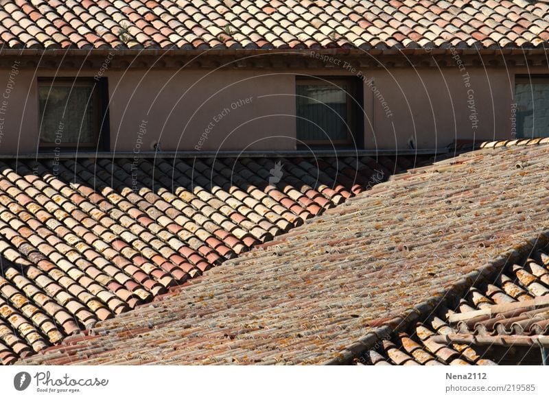 Over the rooftops.... Style Living or residing House (Residential Structure) Old Esthetic Roof Window Roofing tile Gable Eaves Attic story Southern