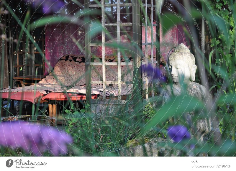 Two sun loungers in a wooden pavilion in the garden | a place to dream. Summer Plant Blossom Garden Relaxation Esthetic pretty Serene Leisure and hobbies