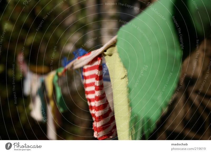 1500 Style Design Harmonious Calm Garden Moody Colour Environment Cloth Clothesline Striped Colour photo Subdued colour Multicoloured Exterior shot Close-up