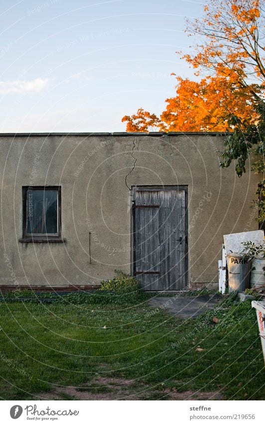 sheds Sky Autumn Beautiful weather Tree Meadow House (Residential Structure) Wall (barrier) Wall (building) Door Poverty Authentic Trash Barn Twilight