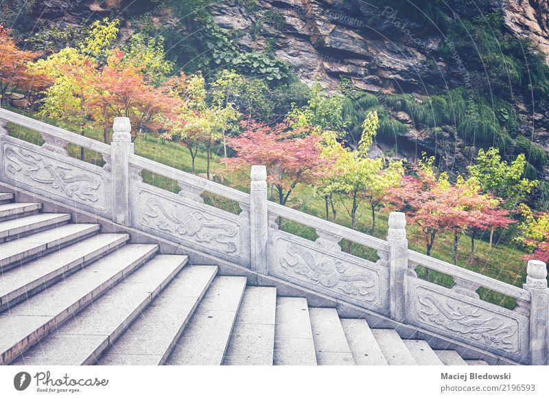 Marble stairs Garden - a Royalty Free Stock Photo from Photocase