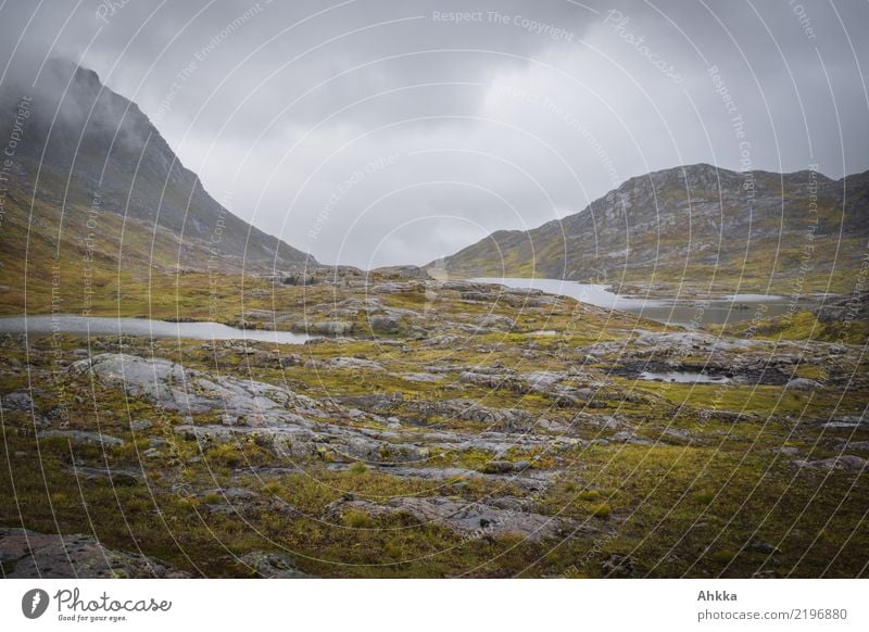 Rainy mood in mountain landscape in Norway, grey, wet Nature Elements Clouds Bad weather Mountain Fjeld Dark Wet Gloomy Wild Sadness Concern Grief Loneliness