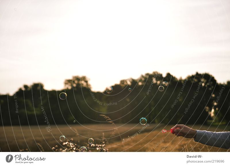 freedom Playing Soap bubble Freedom Summer Summer vacation Arm Hand Art Nature Landscape Air Sunrise Sunset Beautiful weather Field Forest Sweater Relaxation