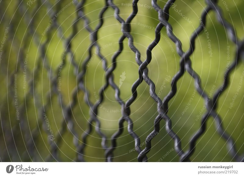 enclosed Summer Metal Simple Glittering Green Black Silver Safety Protection Calm Colour photo Exterior shot Pattern Deserted Shallow depth of field Nature
