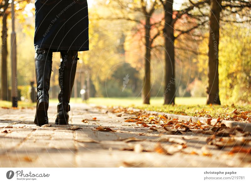 Going for a walk Feminine Legs 1 Human being Nature Autumn Tree Leaf Park Skirt Boots Relaxation Sadness Loneliness Colour photo Exterior shot Day