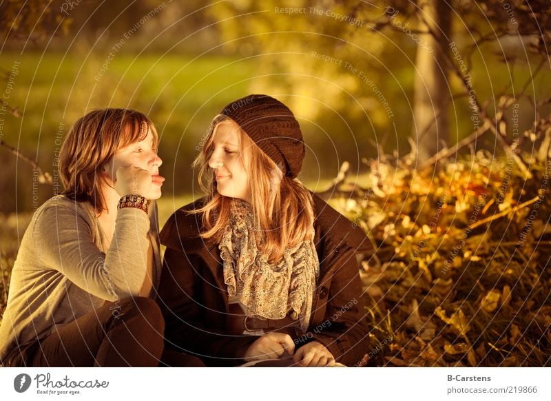girlfriends Joy Human being Friendship Youth (Young adults) Life 2 Nature Earth Sunlight Autumn Tree Grass Bushes Leaf Forest Smiling Brash Together Emotions