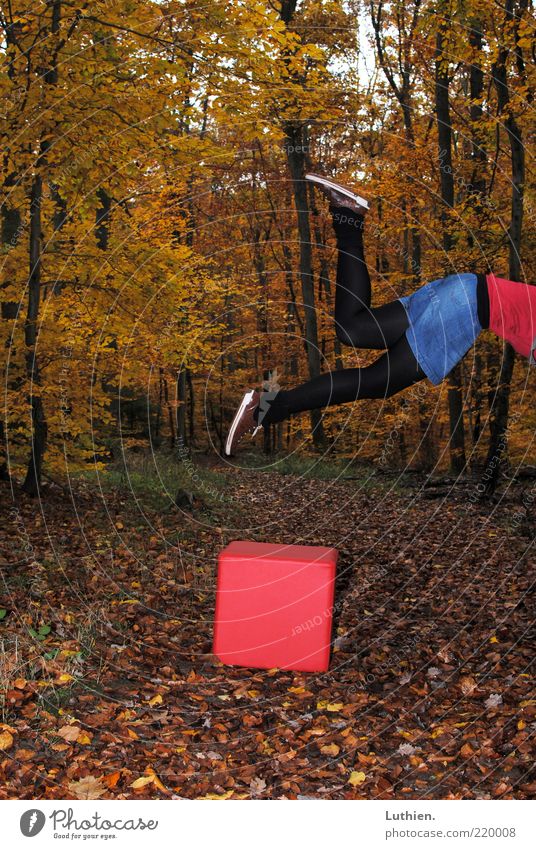 Where's the Cube? Human being Legs Feet 1 Nature Autumn Forest To fall Flying Exceptional Yellow Gold Red Black Dice Tights Lanes & trails Autumn leaves