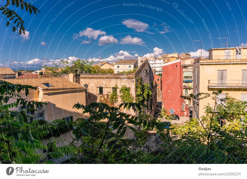 City views Kerkira, Corfu Sky Clouds Grass Bushes Ivy Kérkira Capital city Old town House (Residential Structure) Facade Looking Growth Authentic Blue Brown