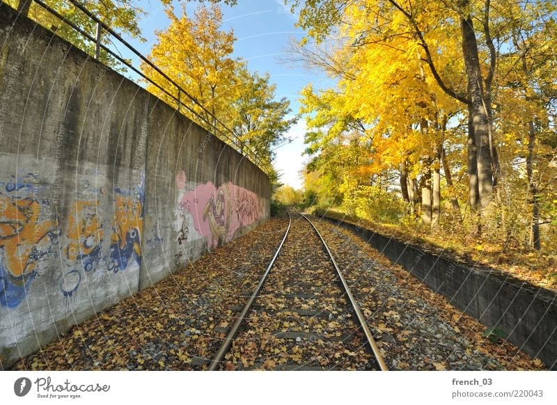 Winter is coming! Environment Nature Sky Autumn Beautiful weather Tree Bushes Railroad tracks To dry up Blue Yellow Moody Colour Maple tree Leaf Bavaria Cold