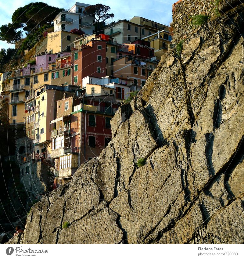 Houses in the rock Exotic Vacation & Travel Tourism Summer Summer vacation Cinque Terre Italy Italian Europe Village Fishing village