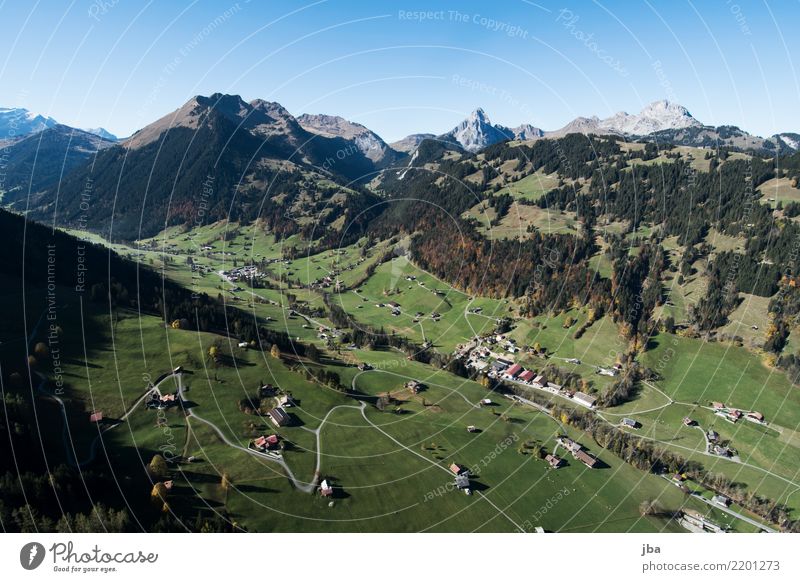 Reason near Gstaad in autumn Lifestyle Well-being Relaxation Calm Leisure and hobbies Trip Adventure Far-off places Freedom Mountain Hiking Sports Paragliding