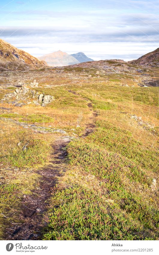 Hiking trail, Norway, Lofoten, Fjäll, mountains Vacation & Travel Adventure Mountain Nature Landscape Fjeld Lanes & trails Beginning Movement Perspective