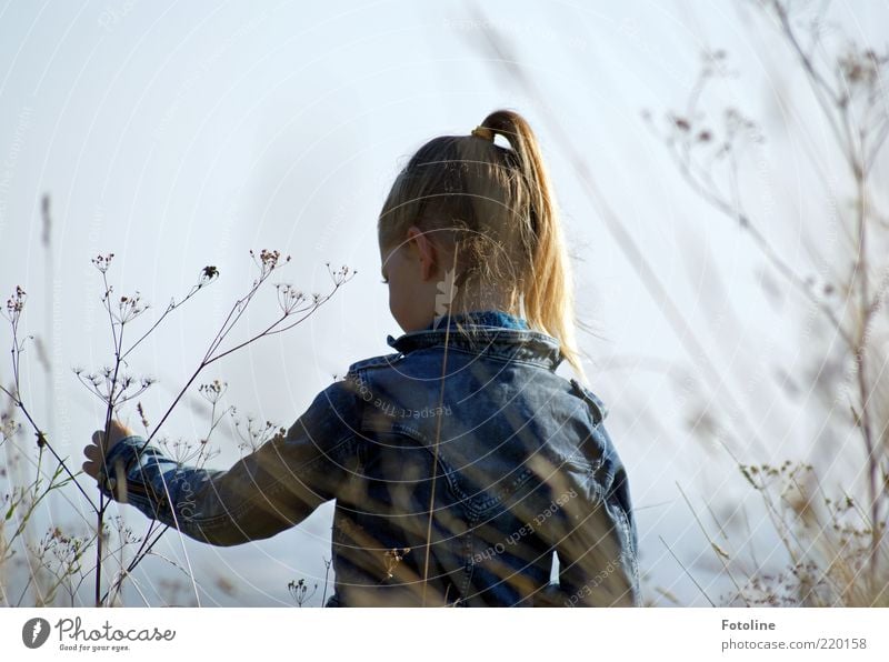 play in freedom Human being Feminine Child Girl Infancy Skin Head Hair and hairstyles Face Eyes Ear Back Arm Hand Fingers Environment Nature Plant Sky