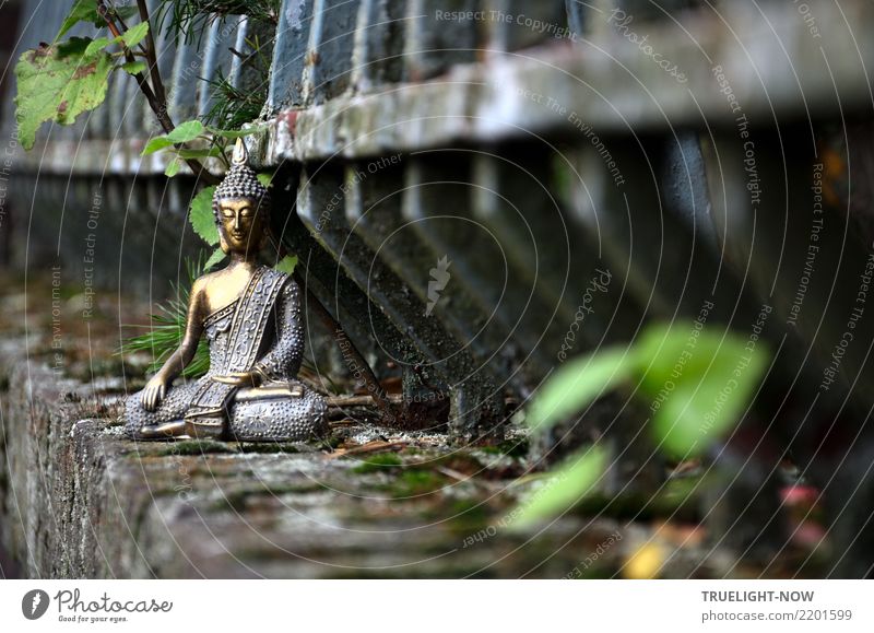 Buddha meditating on old wall in front of old iron fence Harmonious Relaxation Calm Meditation Art Culture Wall (barrier) Wall (building) Decoration Kitsch