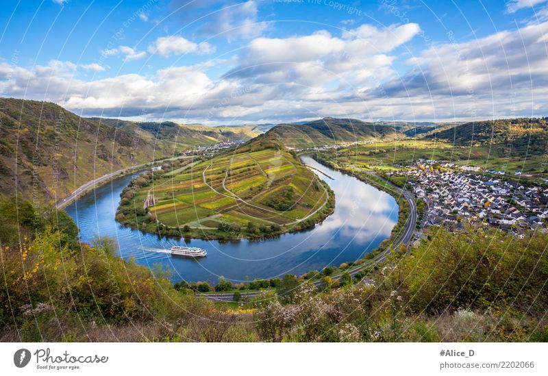 Moselle loop at Bremm Vacation & Travel Sightseeing Nature Landscape Water Sky Clouds Horizon Autumn Beautiful weather Plant Agricultural crop Vineyard Field
