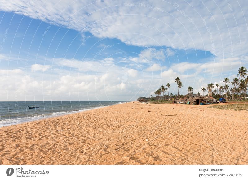 Toduwala Beach, Sri Lanka, Asia Thoduwawa Toduwawa Vacation & Travel Traveling Idyll Freedom liberty Card Tourism Sun Sunbeam Summer Paradise Paradisical Nature