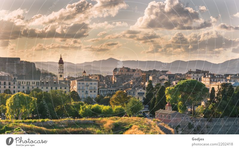 City views Kérkira III Tree Grass Bushes Mountain Corfu Capital city Port City Downtown Skyline House (Residential Structure) Church Tower Building Architecture