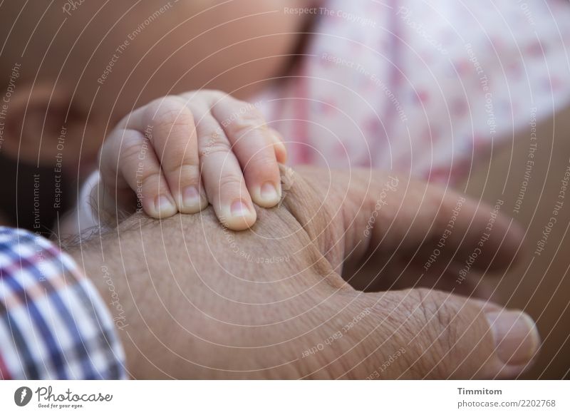 Boy hand on old hand. Baby Male senior Man Hand Fingers 2 Human being Touch Emotions Joie de vivre (Vitality) Attentive To hold on Skin Wrinkle Clothing