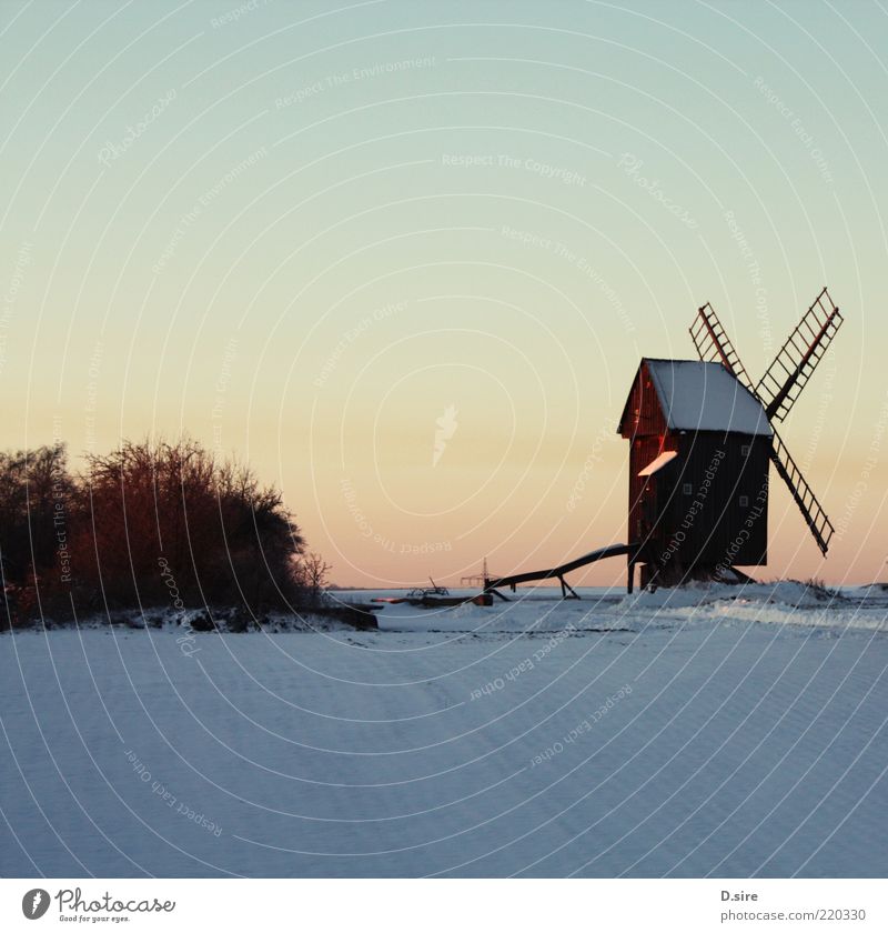 Bock windmill in the snow Snow Nature Landscape Air Cloudless sky Winter Beautiful weather Village bock windmill Tourist Attraction Old Authentic Sharp-edged