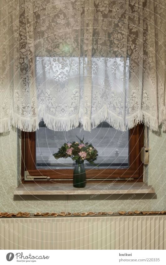 grandma Living or residing Flat (apartment) Interior design Decoration Wallpaper Room Window Curtain Window board Flower Heating Venetian blinds Old Gloomy