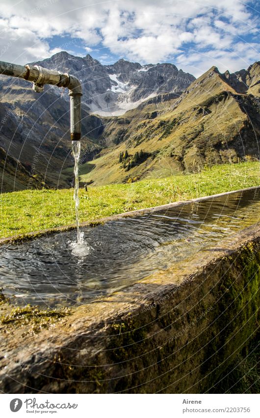 abundance Mountain Hiking Landscape Water Beautiful weather Alps Forest of Bregenz Peak Glacier Well Drinking water Water pipe Watering Hole Jet of water Fluid