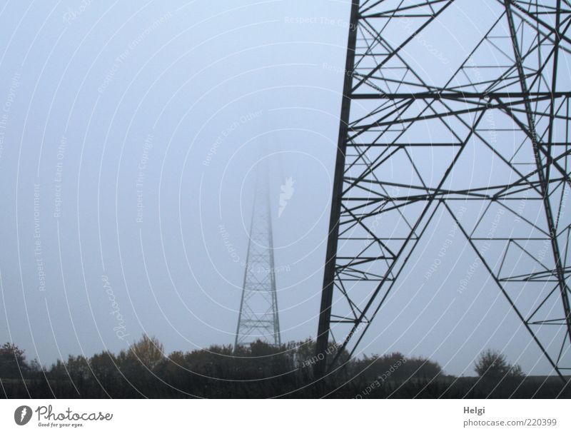 Energy giants in the fog Technology Energy industry Environment Landscape Plant Sky Autumn Weather Fog Tree Metal Steel Dark Large Gray Black Colour photo