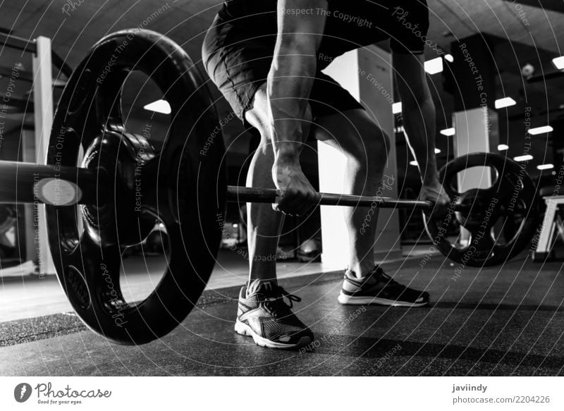 Fitness Weights Background Royalty Free Photo