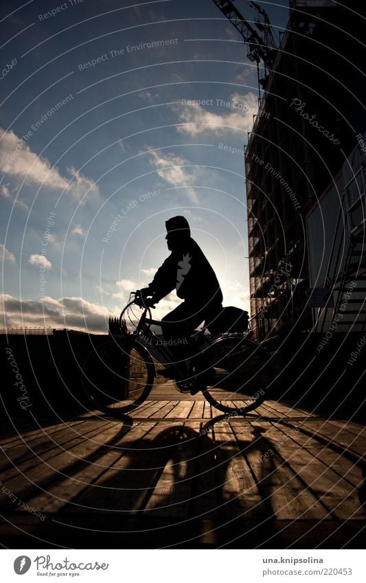 when the sun shines again Cycling Movement Driving Sunset Bicycle Wood Footbridge In transit Back-light Sunlight Day Colour photo Exterior shot Twilight Shadow