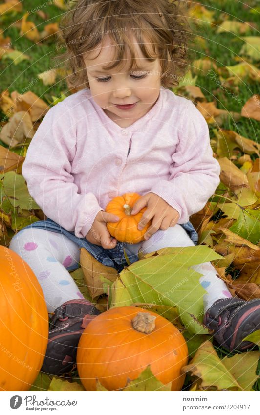 Adorable girl todler embracing pumpkins on an autumn field Joy Garden Hallowe'en Nature Autumn Leaf Park Forest Smiling Dream Embrace Happiness Bright Natural