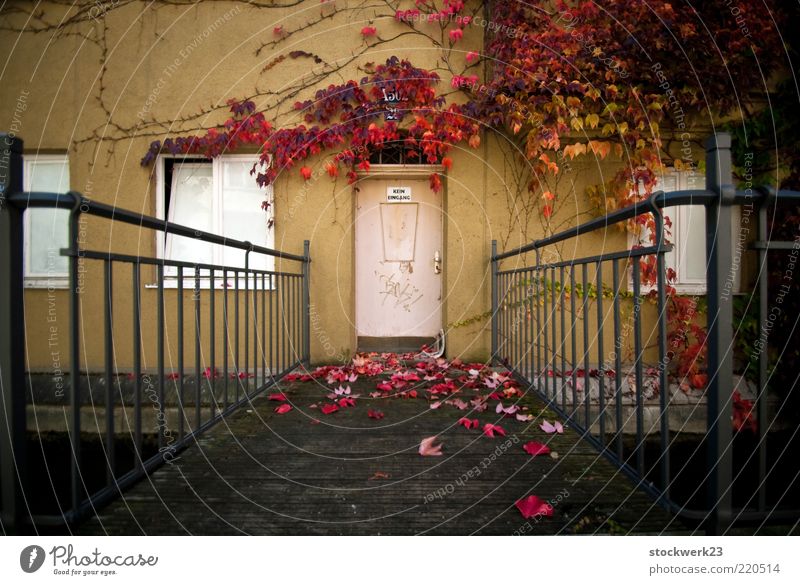 No entrance! Flat (apartment) House (Residential Structure) Autumn Tree Leaf Deserted Bridge Manmade structures Building Architecture Wall (barrier)