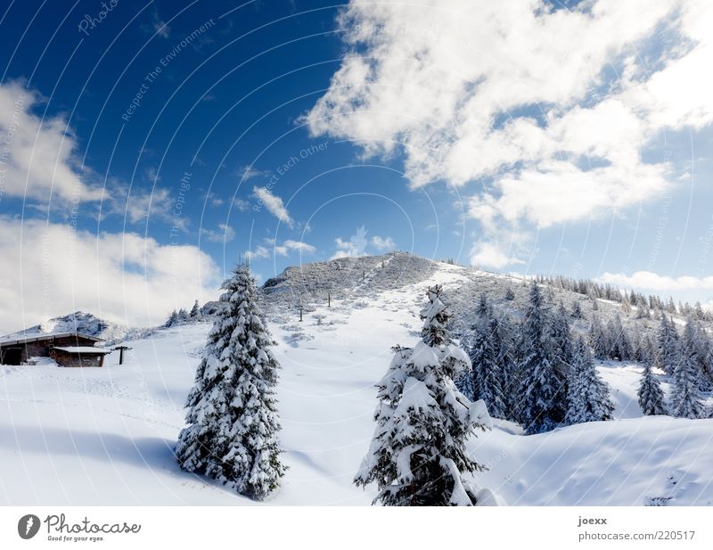 sermon chair Nature Landscape Sky Winter Snow Tree Alps Mountain Hut Cold Blue White Calm Bavaria Latten Mountains Berchtesgaden Alpes Colour photo