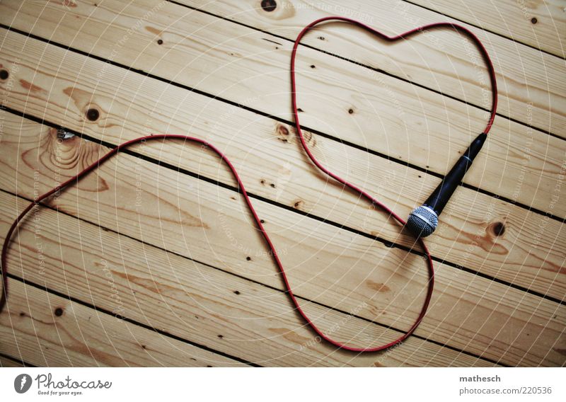 A microphone lies on a wooden floor made of old wooden planks, the microphone cable is laid on the floor in the shape of a heart Music Feasts & Celebrations