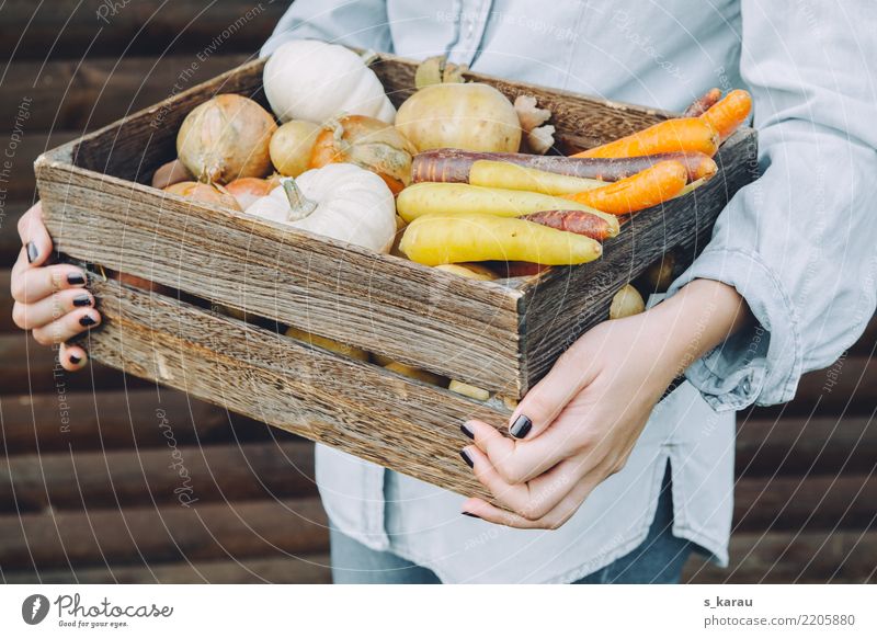 harvest time Food Vegetable Nutrition Organic produce Vegetarian diet Human being Feminine Woman Adults Hand 18 - 30 years Youth (Young adults) Fresh Healthy