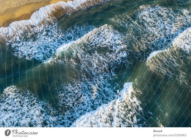 Surfers and waves in the sea on the sand beach from above Exotic Swimming & Bathing Leisure and hobbies Vacation & Travel Tourism Trip Adventure Far-off places