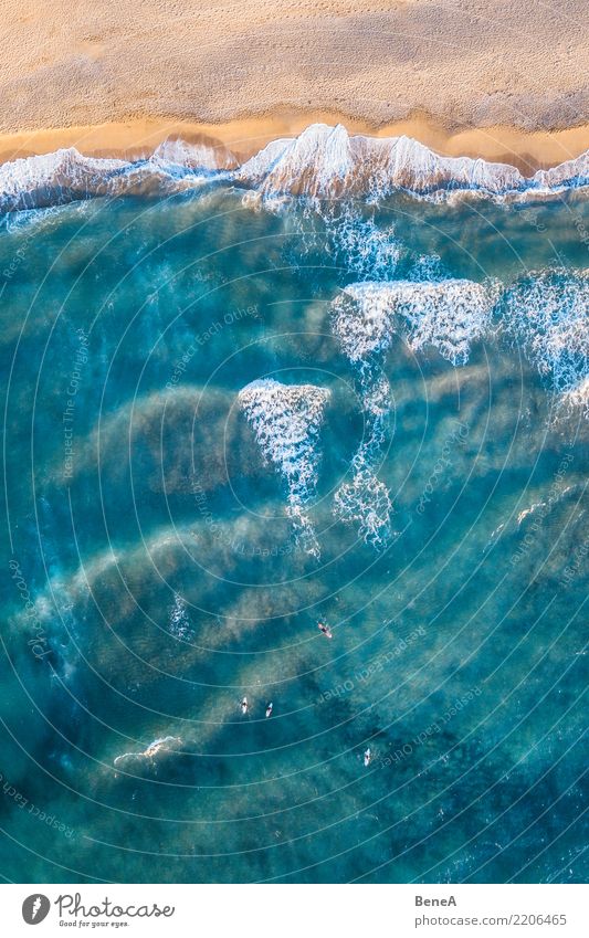 Surfers in turquoise blue sea and waves on sand beach Exotic Relaxation Swimming & Bathing Leisure and hobbies Vacation & Travel Tourism Trip Adventure