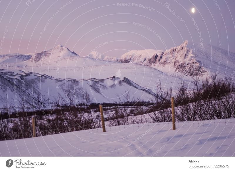 Winter morning in the Rondane, moon, snow, mountain landscape Vacation & Travel Adventure Far-off places Expedition Winter sports Landscape Night sky Moon Ice