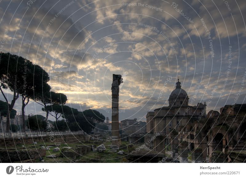 Forum Romanum at dawn Sky Clouds Beautiful weather Rome Capital city Church Tourist Attraction Landmark Monument Forum Romano Old Esthetic Blue Gray Ruin