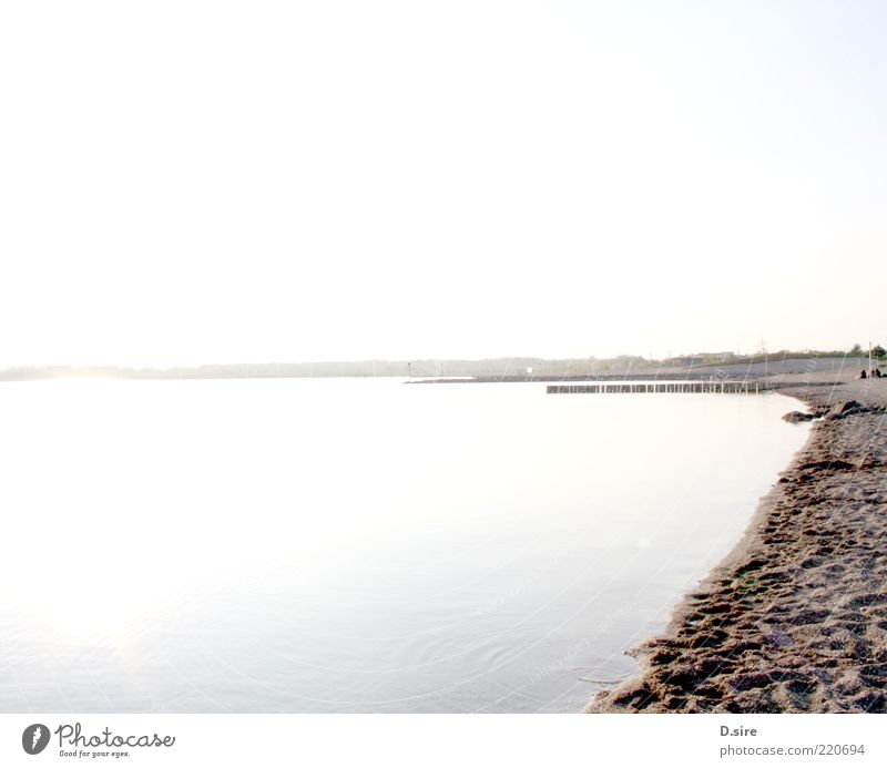 At the lake Far-off places Summer Environment Nature Landscape Earth Sand Air Water Cloudless sky Beautiful weather Coast Beach Lake lake cospuden Wet Clean