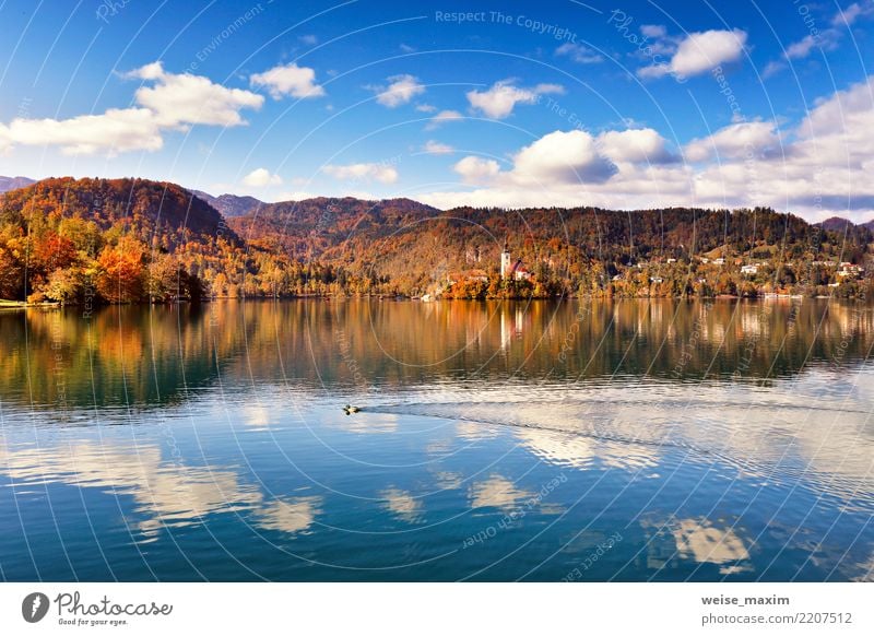 Amazing autumn View On Bled Lake. Slovenia Mountain Range Beautiful Vacation & Travel Tourism Summer Island Nature Landscape Sky Autumn Tree Park Forest Hill