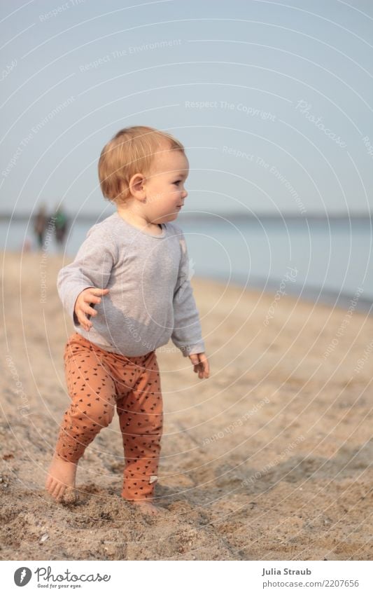Wait for me Baby Toddler Girl 1 Human being 1 - 3 years Sand Autumn Beautiful weather Coast Beach Timmendorf beach Leggings Brunette Movement Smiling Walking