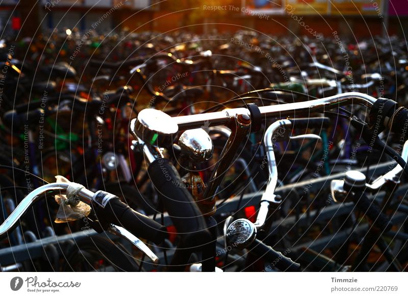 bicycle chaos Silver Bizarre Chaos Town Münster Exterior shot Abstract Structures and shapes Evening Sunbeam Back-light Shallow depth of field Wide angle