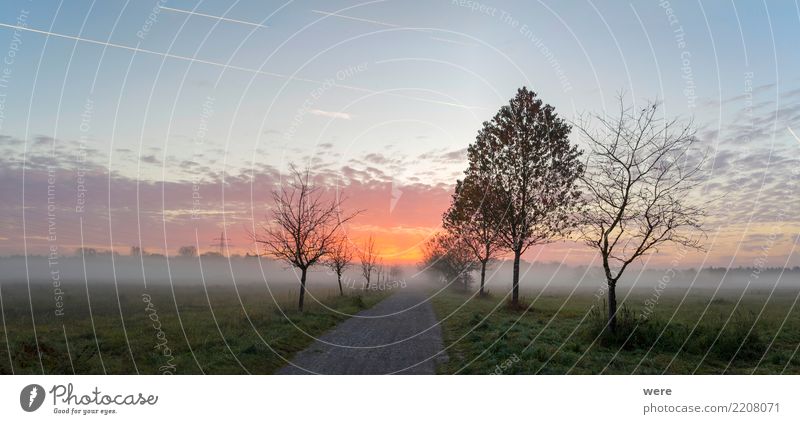 Sunrise over a dirt road Calm Agriculture Forestry Nature Landscape Plant Tree Meadow Field Places Street Lanes & trails Peaceful Environmental protection
