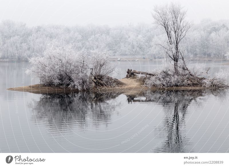 island bliss Environment Nature Landscape Plant Winter Climate Climate change Snow Tree Bushes Lakeside Island Cold White Calm Loneliness Stagnating Surrealism