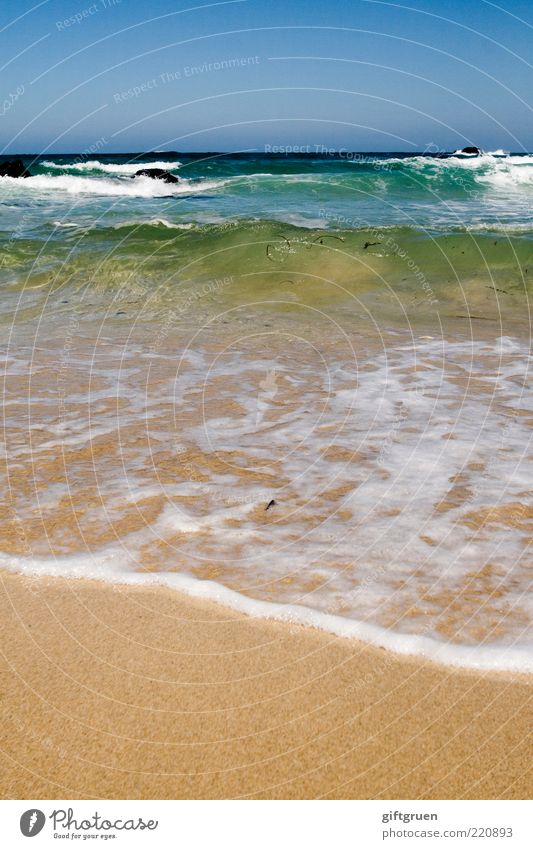 wave after wave after wave Environment Nature Landscape Elements Sand Water Sky Cloudless sky Summer Climate Weather Beautiful weather Waves Coast Beach Ocean