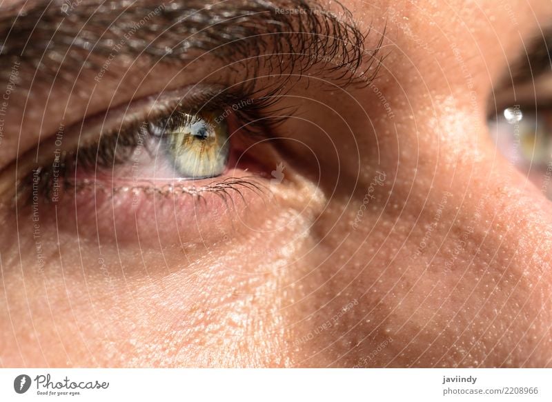 Close-up shot of man's eye. Beautiful Human being Man Adults Eyes Blue Green close Vision Iris Eyebrow Vantage point pupil Colour photo Macro (Extreme close-up)
